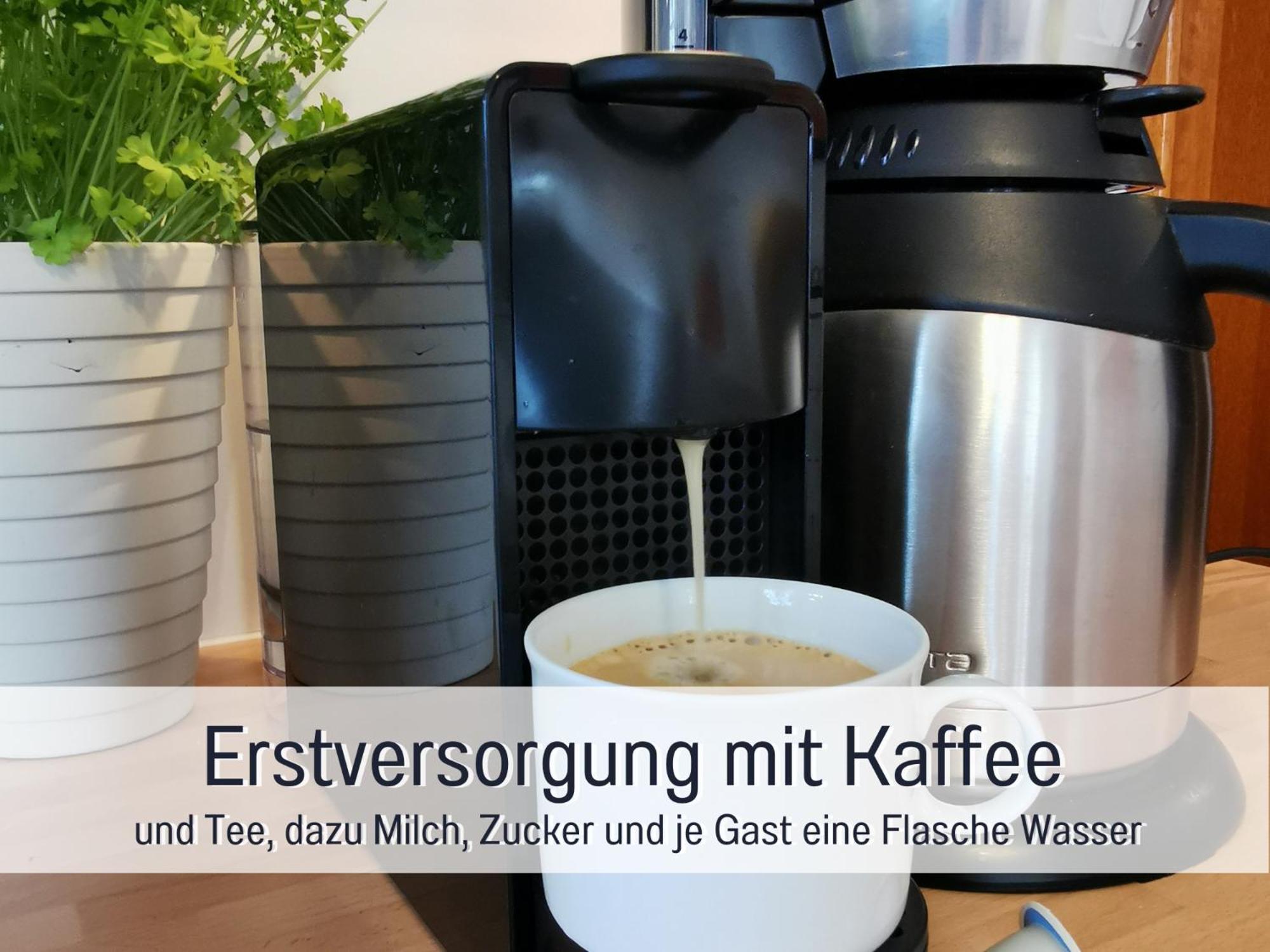 Ferienhaus Schwaab-Scherr, Genau Zwischen Bernkastel-Kues Und Traben-Trarbach, Mit Kostenlosem Oepnv-Ticket Fuer Bus Und Bahn, Parkplaetzen, Fahrradgarage Und Vielen Tipps Erden Kültér fotó