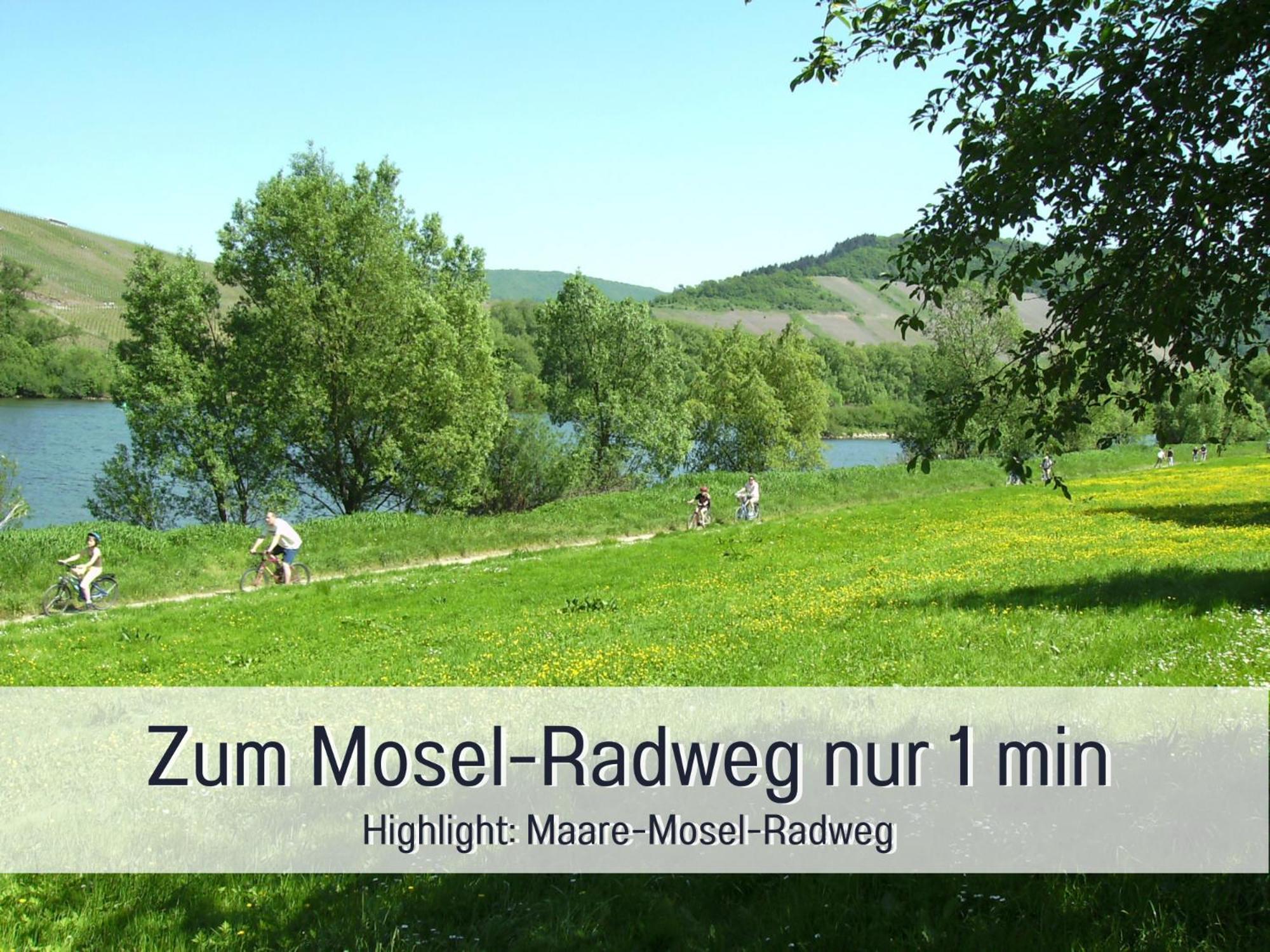 Ferienhaus Schwaab-Scherr, Genau Zwischen Bernkastel-Kues Und Traben-Trarbach, Mit Kostenlosem Oepnv-Ticket Fuer Bus Und Bahn, Parkplaetzen, Fahrradgarage Und Vielen Tipps Erden Kültér fotó
