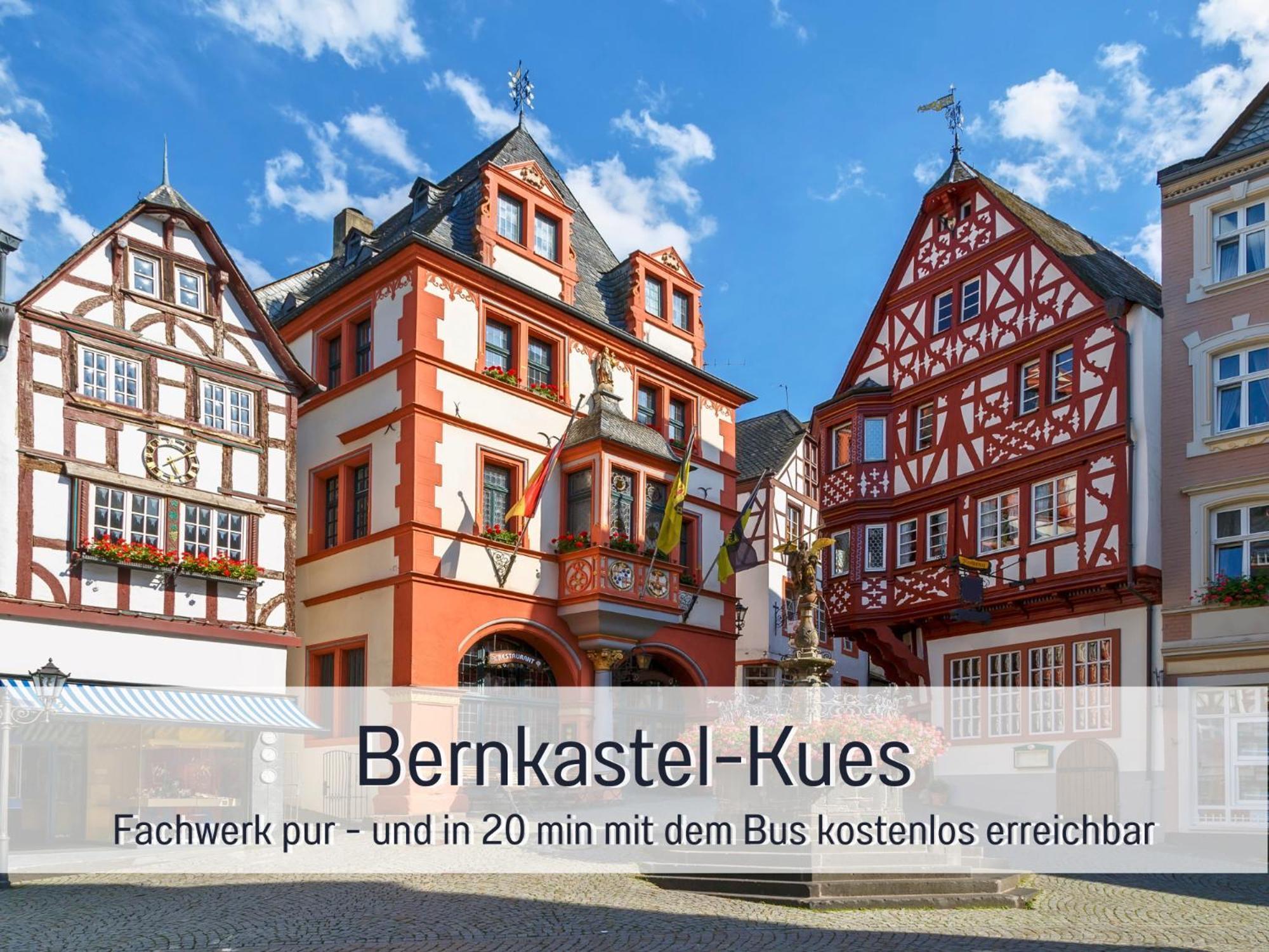 Ferienhaus Schwaab-Scherr, Genau Zwischen Bernkastel-Kues Und Traben-Trarbach, Mit Kostenlosem Oepnv-Ticket Fuer Bus Und Bahn, Parkplaetzen, Fahrradgarage Und Vielen Tipps Erden Kültér fotó