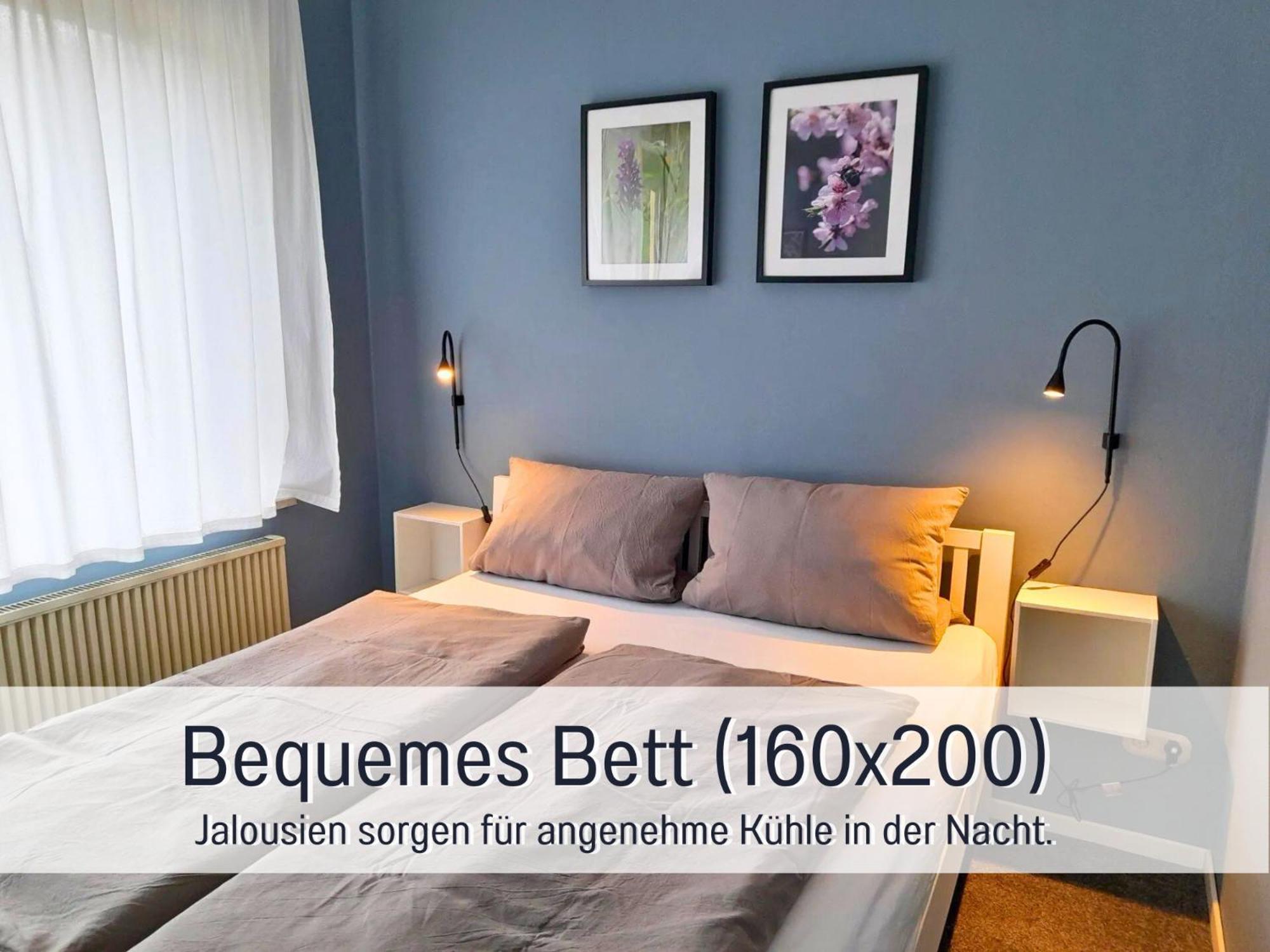 Ferienhaus Schwaab-Scherr, Genau Zwischen Bernkastel-Kues Und Traben-Trarbach, Mit Kostenlosem Oepnv-Ticket Fuer Bus Und Bahn, Parkplaetzen, Fahrradgarage Und Vielen Tipps Erden Kültér fotó