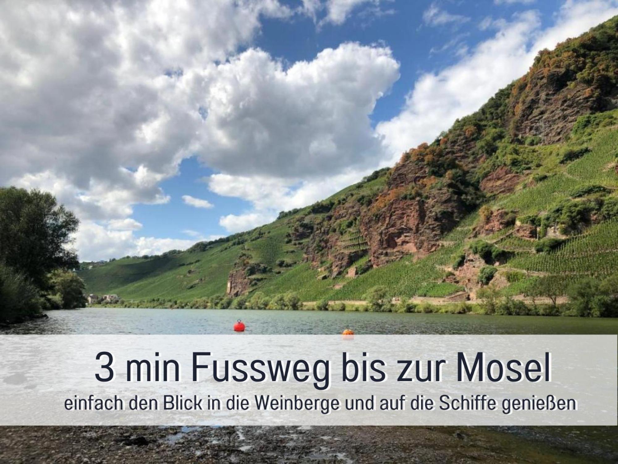 Ferienhaus Schwaab-Scherr, Genau Zwischen Bernkastel-Kues Und Traben-Trarbach, Mit Kostenlosem Oepnv-Ticket Fuer Bus Und Bahn, Parkplaetzen, Fahrradgarage Und Vielen Tipps Erden Kültér fotó
